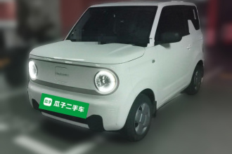 吉利银河 2024款 熊猫mini 200km 耐力熊