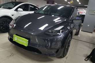 特斯拉 Model Y 2024款 后轮驱动版