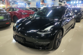 特斯拉 Model 3(进口) 2019款 长续航全轮驱动版