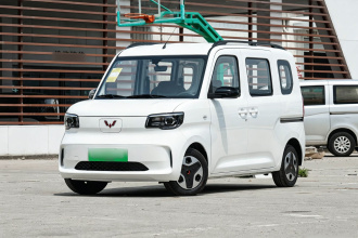 五菱汽车 五菱之光新能源 2025款 305km 进取型