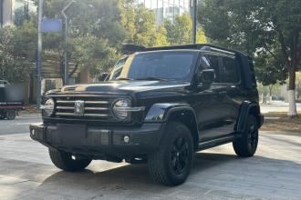 坦克300 2021款 城市版 2.0T 我看型