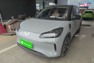 五菱汽车 五菱缤果PLUS 2024款 510km 旗舰版 四座版