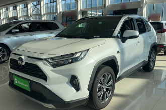丰田 RAV4荣放 2023款 2.0L CVT两驱20周年铂金纪念版