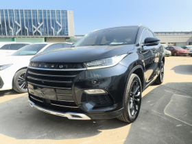 星途TX 2020款 1.6T 两驱星尚版