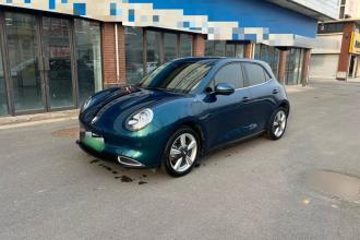 欧拉好猫 2021款 400km标准续航 维纳斯版 三元锂