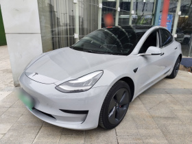 特斯拉 Model 3 2019款 标准续航后驱升级版