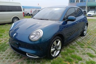 欧拉好猫 2023款 401km标准续航 豪华型 磷酸铁锂