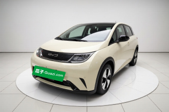 比亚迪 海豚 2023款 420km 时尚版