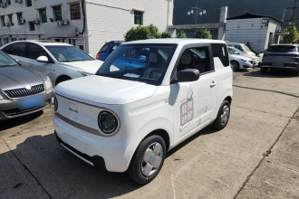 吉利银河 2023款 熊猫mini 200km 耐力熊