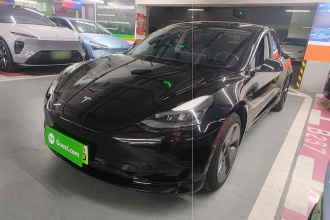 特斯拉 Model 3 2021款 改款 标准续航后驱升级版 3D1