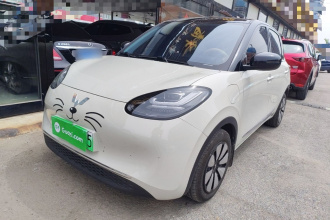 五菱汽车 五菱缤果 2024款 333km 悦享款
