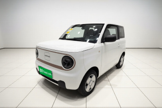 吉利银河 2024款 熊猫mini 200km 耐力熊