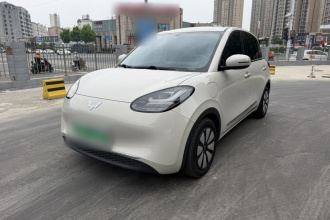 五菱汽车 五菱缤果 2024款 333km 悦享款