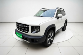哈弗大狗 2021款 1.5T DCT两驱拉布拉多版