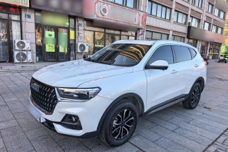 哈弗H6 2023款 国潮版 1.5T 自动都市版