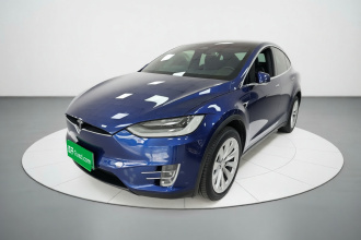 特斯拉 Model X 2019款 长续航版