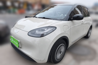 五菱汽车 五菱缤果 2023款 333km 悦享款