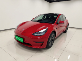特斯拉 Model 3 2021款 标准续航后驱升级版 3D6