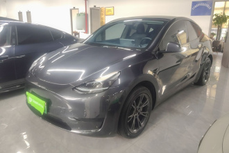 特斯拉 Model Y 2024款 后轮驱动版