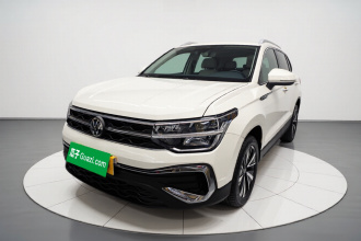 大众 途岳 2023款 300TSI 两驱皎月版