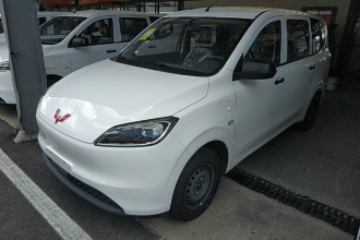 五菱汽车 五菱宏光新能源 2024款 纯电版 300KM 实用型