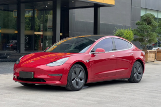 特斯拉 Model 3(进口) 2019款 长续航全轮驱动版