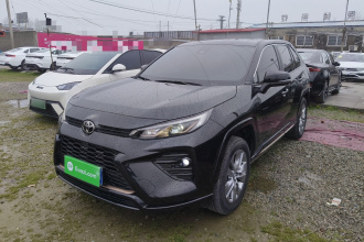 丰田 威兰达 2024款 2.0L CVT两驱都市版