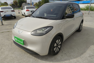 五菱汽车 五菱缤果 2024款 333km 悦享款