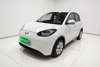 五菱汽车 五菱缤果 2023款 203km 轻享款