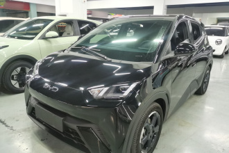 比亚迪 海鸥 2024款 荣耀版 405km 飞翔版