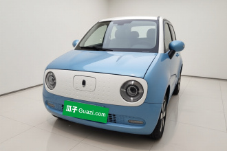 欧拉黑猫 2021款 351km 标准型