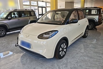五菱汽车 五菱缤果 2025款 333km 悦享款
