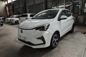 长安 奔奔E-Star 2020款 心动版 磷酸铁锂（31.18kWh）