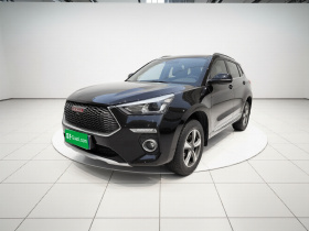 哈弗H6 Coupe 2018款 红标 1.5T 自动两驱豪华型