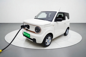 吉利银河 2024款 熊猫mini 200km 耐力熊