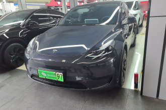 特斯拉 Model Y 2024款 后轮驱动版