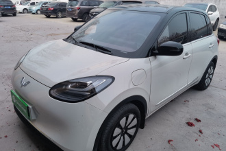 五菱汽车 五菱缤果 2024款 333km 悦享款