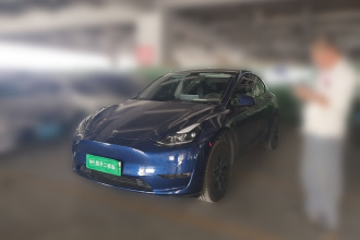 特斯拉 Model Y 2023款 长续航全轮驱动版