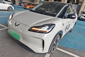 五菱汽车 五菱缤果PLUS 2024款 330km 五座版