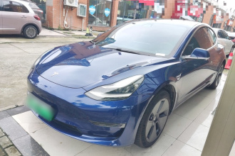特斯拉 Model 3(进口) 2019款 长续航后驱版