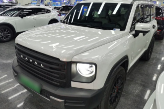 哈弗猛龙新能源 2024款 Hi4 145 Pro