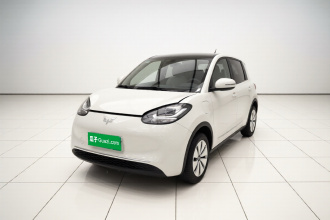 五菱汽车 五菱缤果 2024款 203km 轻享款