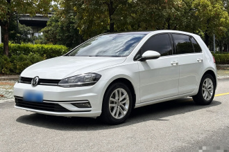 大众 高尔夫 2019款 1.6L 自动舒适型 国V