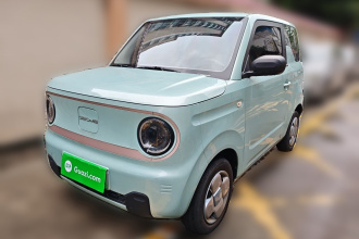 吉利银河 2023款 熊猫mini 200km 耐力熊