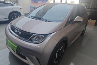 比亚迪 海豚 2021款 405km 时尚版