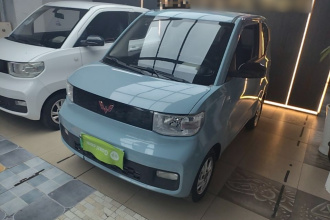 五菱汽车 宏光MINIEV 2020款 自在款 磷酸铁锂
