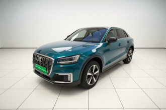 奥迪Q2L e-tron 2019款 Q2L e-tron 纯电智酷型