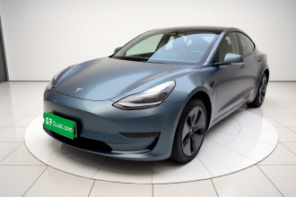 特斯拉 Model 3 2020款 改款 长续航后轮驱动版