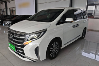 广汽传祺 传祺M8 2021款 领秀系列 390T 至尊版