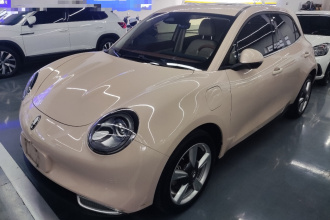 欧拉好猫 2022款 400km标准续航 尊贵型 三元锂